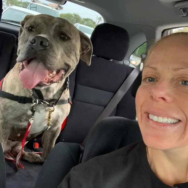 Jenn and a big pup smiling in the car